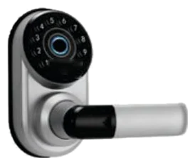 Smart & Hotel Locks